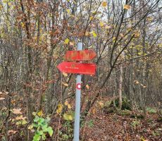 Martinovanje z Brežičani 2025